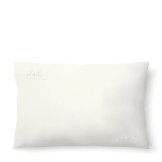Queen Size Silk Pillowcase - Ivory White - Joe's Labs