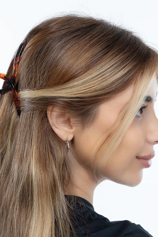 Hair Claw Clip - Glossy Twisted - Translucent, Brown And Black - 3pcs - Joe's Labs